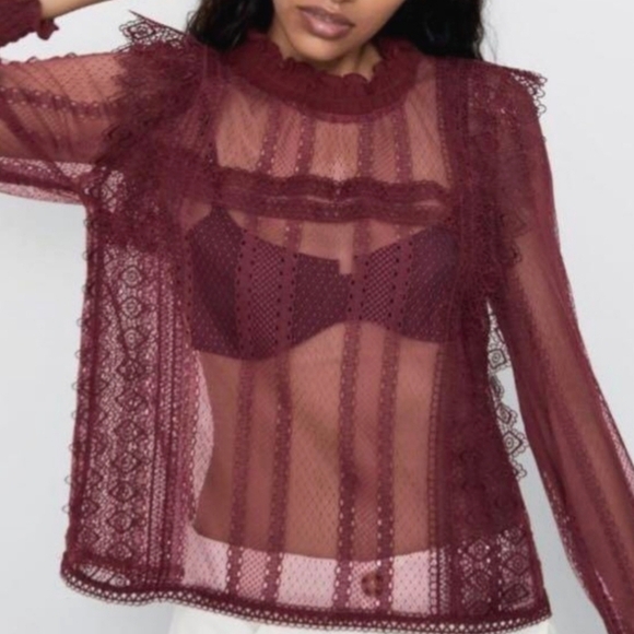 Zara Tops - Zara‎ Burgundy Sheer Lace Top